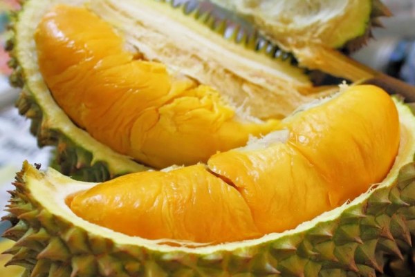 Durian Pulp