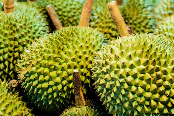 Fresh Whole Durian